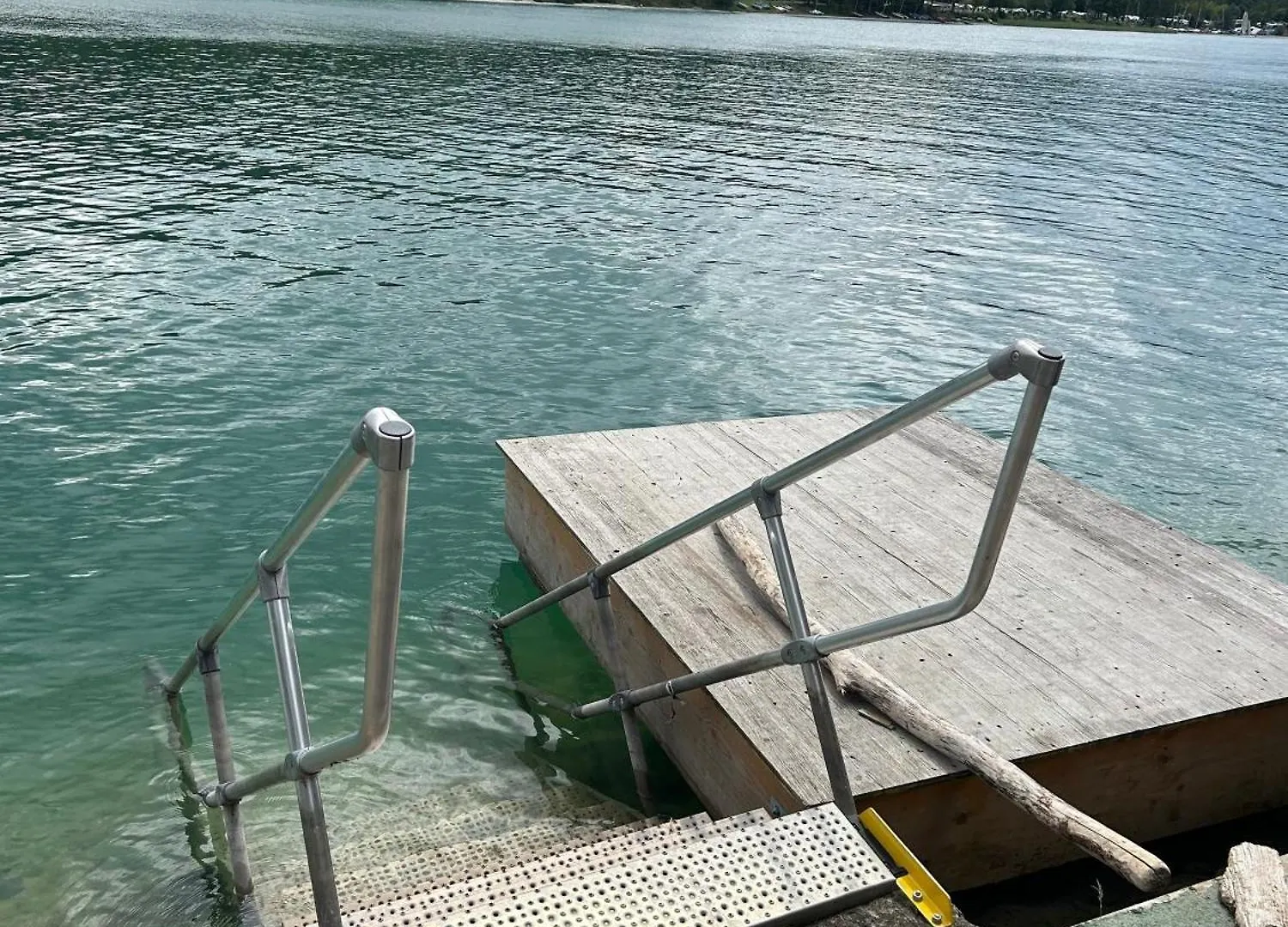 Seerose Walchensee